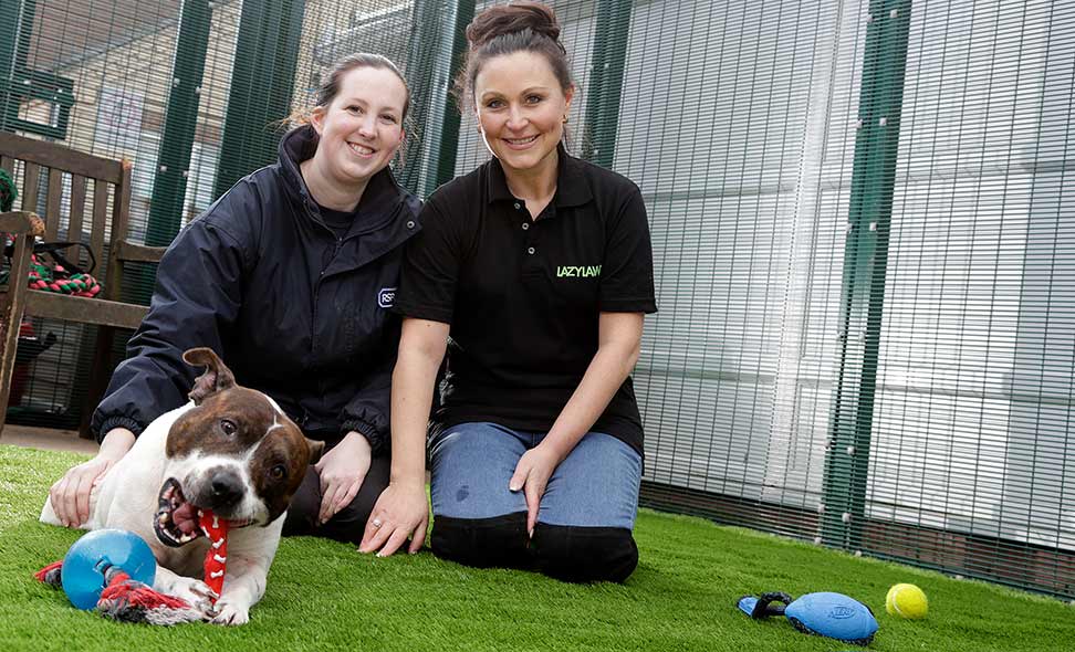 RSPCA Artificial Grass Install